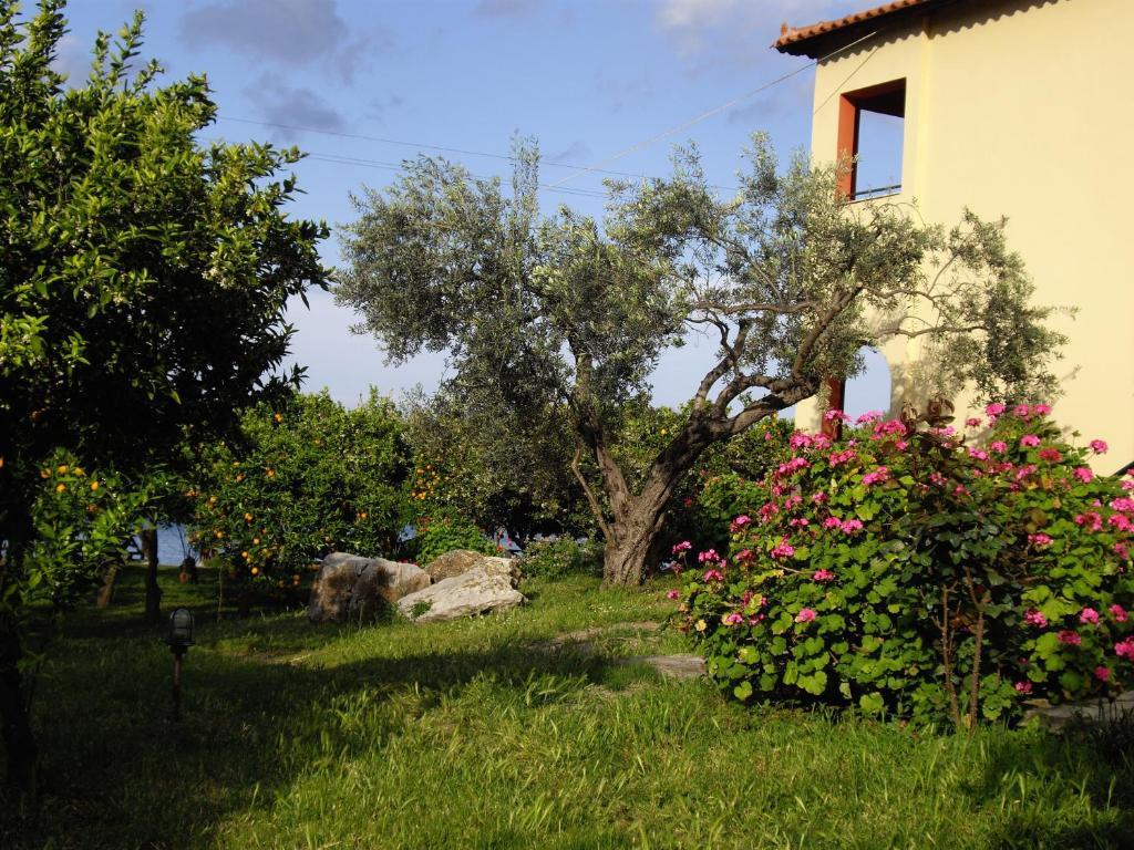 Magda Hotel Apartments Epidaurus Exterior photo